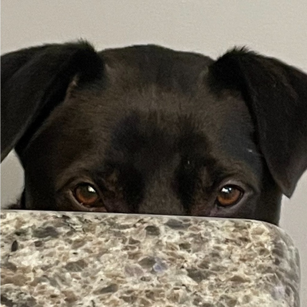 Meet your Posher, Theresa